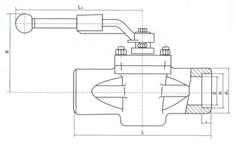 美標承插焊式卡套旋塞閥結構示意圖
